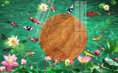 File in mica Tranh hoa sen cá cửu ngư quần hội S3806 (bản gốc) làm vách ngăn