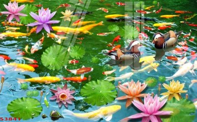 File in ấn cao cấp Tranh hoa sen cá cửu ngư quần hội S3841 (file gốc)