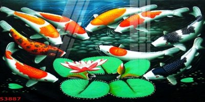 File in ấn Tranh hoa sen cá cửu ngư quần hội S3887 (bản gốc) cao cấp