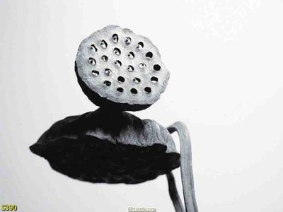 File in ấn Tranh cửu ngư quần hội sen cá S390 (bản gốc) sắc nét