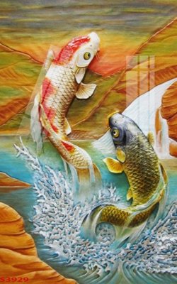 File tranh Tranh hoa sen cá cửu ngư quần hội S3929 (ảnh gốc) in trần xuyên sáng