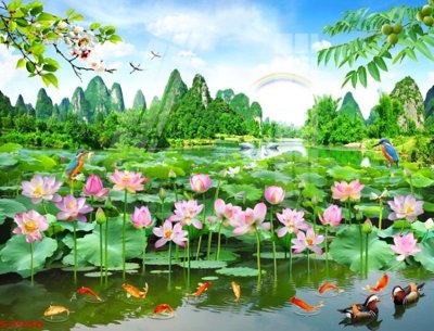 File tranh Tranh hoa sen cá cửu ngư quần hội S3936 (ảnh gốc) chi tiết rõ ràng