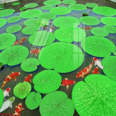 Tải file gốc Tranh hoa sen cá cửu ngư quần hội S3956 (in khổ lớn) quảng cáo