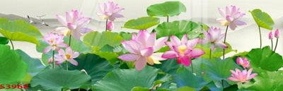 File gốc Tranh hoa sen cá cửu ngư quần hội S3968 (trang trí) phòng làm việc