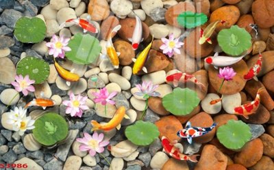 Tải file Tranh hoa sen cá cửu ngư quần hội S3986 (gốc) làm file thiết kế