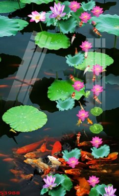 File gốc Tranh hoa sen cá cửu ngư quần hội S3988 (AI/EPS) cho in ấn