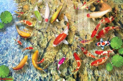 File gốc Tranh hoa sen cá cửu ngư quần hội S4006 (in ấn) không giới hạn