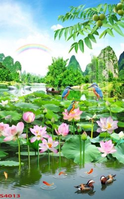 File gốc Tranh hoa sen cá cửu ngư quần hội S4013 (ảnh chi tiết) để in trần