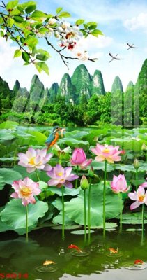 Download file Tranh hoa sen cá cửu ngư quần hội S4014 (chuẩn in) Tranh hoa sen cá cửu ngư quần hội S4014