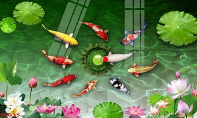 File gốc Tranh hoa sen cá cửu ngư quần hội S4035 (in tráng gương) ốp tường