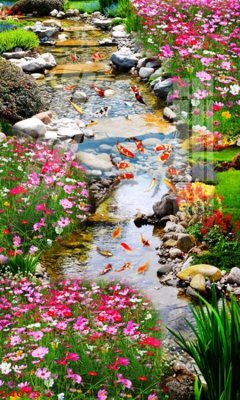 File tranh Tranh hoa sen cá cửu ngư quần hội S4075 (bản gốc) treo tường