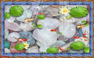 File tranh Tranh hoa sen cá cửu ngư quần hội S4076 (gốc) in backlit film