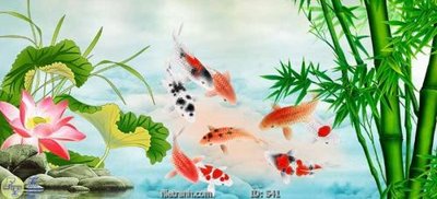 File tranh Tranh cửu ngư quần hội sen cá S41 (gốc) chủ đề tĩnh vật