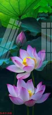 Tải file Tranh hoa sen cá cửu ngư quần hội S4128 (PSD) cho in tranh kính