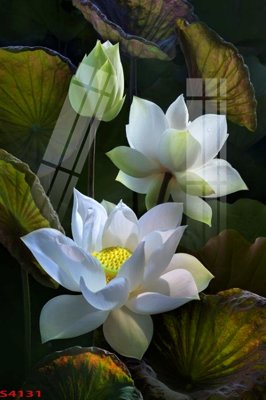 File in ấn Tranh hoa sen cá cửu ngư quần hội S4131 (bản gốc) từ file gốc