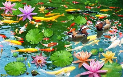 Tải file Tranh cửu ngư quần hội sen cá S414 (gốc) chủ đề tâm linh