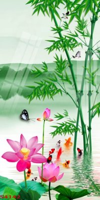 Tải file gốc Tranh hoa sen cá cửu ngư quần hội S4142 (in tráng gương) cao cấpFile gốc Tranh hoa sen cá cửu ngư quần hội S4142 (in ấn) phiên bản độc quyền