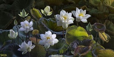 Tải file Tranh cửu ngư quần hội sen cá S416 (ảnh gốc) in gạch 3D