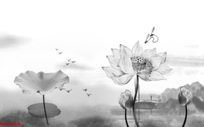 Mua file tranh gốc Tranh hoa sen cá cửu ngư quần hội S4164 tại Filetranh.com