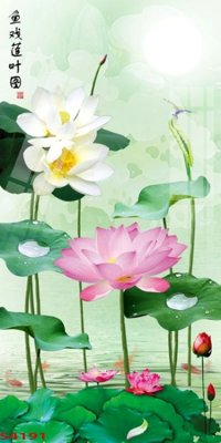 File in mica Tranh hoa sen cá cửu ngư quần hội S4191 (bản gốc) sắc sảo