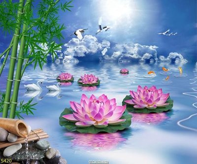 File in trần Tranh cửu ngư quần hội sen cá S420 (bản gốc) phong cảnh