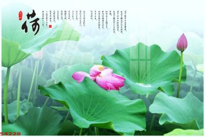 Tải file tranh gốc Tranh hoa sen cá cửu ngư quần hội S4228 chất lượng cao