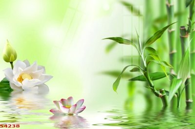 File tranh Tranh hoa sen cá cửu ngư quần hội S4238 (ảnh gốc) sắc nét hoàn hảo