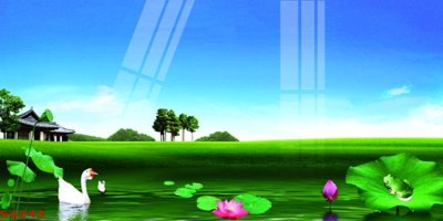 File gốc Tranh hoa sen cá cửu ngư quần hội S4243 (chuẩn màu) cho in offset