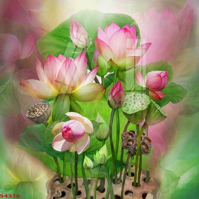 File gốc Tranh hoa sen cá cửu ngư quần hội S4316 (PSD/TIFF) độ phân giải cao