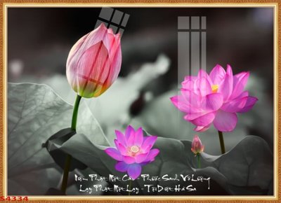 Tải file Tranh hoa sen cá cửu ngư quần hội S4334 (gốc) làm file thiết kế