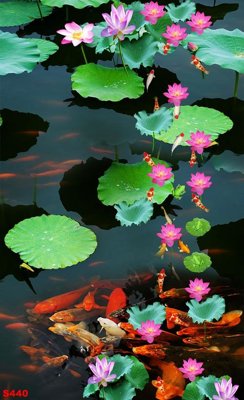 File gốc Tranh cửu ngư quần hội sen cá S440 (in lụa) cao cấp