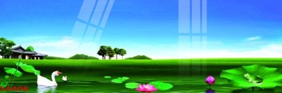 File in mica Tranh hoa sen cá cửu ngư quần hội S4408 (ảnh gốc) đẹp