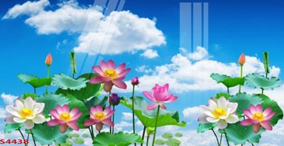 Tải file Tranh hoa sen cá cửu ngư quần hội S4438 (gốc) chủ đề tâm linh