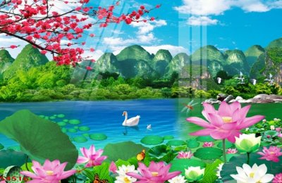 Tải file Tranh hoa sen cá cửu ngư quần hội S4516 (gốc) chủ đề hoa sen