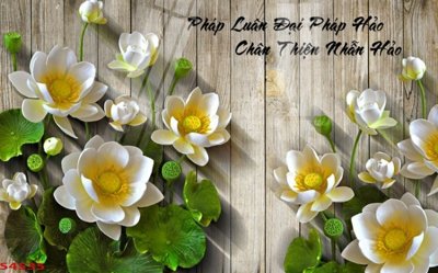 File tranh Tranh hoa sen cá cửu ngư quần hội S4535 (gốc) in backlit film