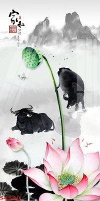 File gốc Tranh hoa sen cá cửu ngư quần hội S4540 (PSD/TIFF) độ phân giải cao