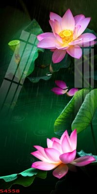 Tải file Tranh hoa sen cá cửu ngư quần hội S4558 (gốc) làm tranh trang trí