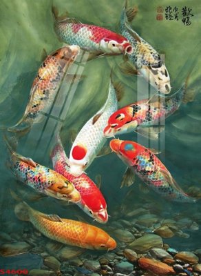 File gốc Tranh hoa sen cá cửu ngư quần hội S4600 (trang trí) phòng trẻ em