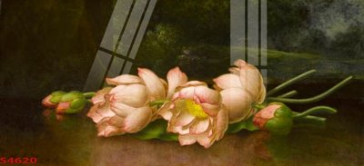 File in trần Tranh hoa sen cá cửu ngư quần hội S4620 (bản gốc) bầu trời