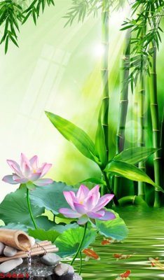 Download file Tranh hoa sen cá cửu ngư quần hội S4661 (gốc) in mica cao cấp