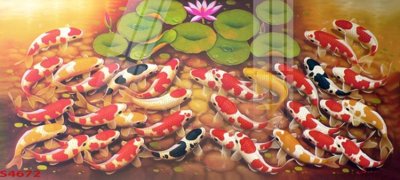 File gốc Tranh hoa sen cá cửu ngư quần hội S4672 (in tráng gương) hiện đại