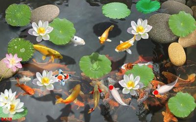 File gốc Tranh cửu ngư quần hội sen cá S470 (bản quyền) cho in ấn