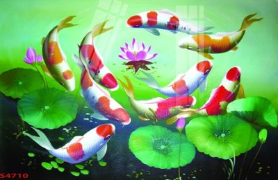 File gốc Tranh hoa sen cá cửu ngư quần hội S4710 (in lụa) tranh phong thủy