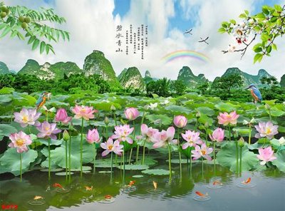 File PSD Tranh cửu ngư quần hội sen cá S472 (gốc) nhiều lớp (multi-layer)