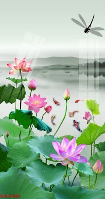 Tải file Tranh hoa sen cá cửu ngư quần hội S4740 (ảnh gốc) in tranh kính