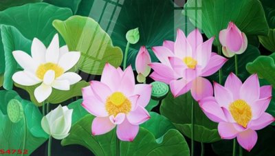 File gốc Tranh hoa sen cá cửu ngư quần hội S4752 (phong cách) cổ điển