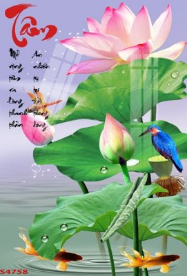 File gốc Tranh hoa sen cá cửu ngư quần hội S4758 (Filetranh.com) Tranh hoa sen cá cửu ngư quần hội S4758