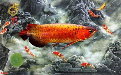 Tải file Tranh cửu ngư quần hội sen cá S478 (gốc) làm tranh treo tường