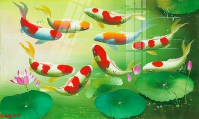 Tải file Tranh hoa sen cá cửu ngư quần hội S4837 (gốc) làm file quảng cáo