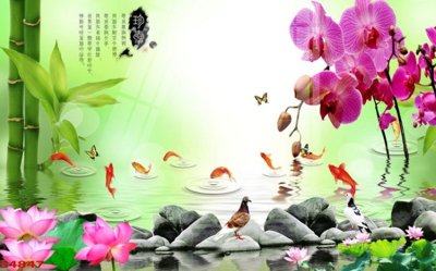 File gốc in tráng gương Tranh hoa sen cá cửu ngư quần hội S4847 chi tiết